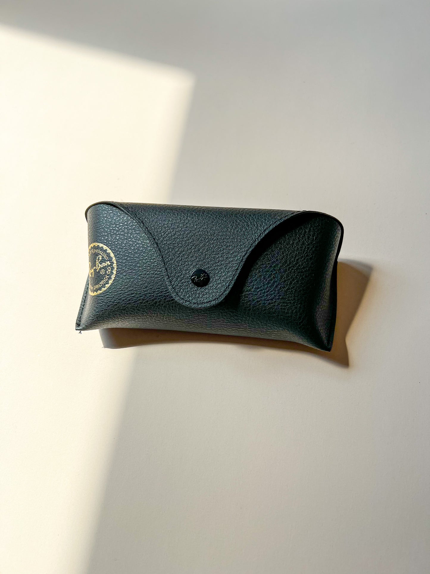 RayBan Etui schwarz groß