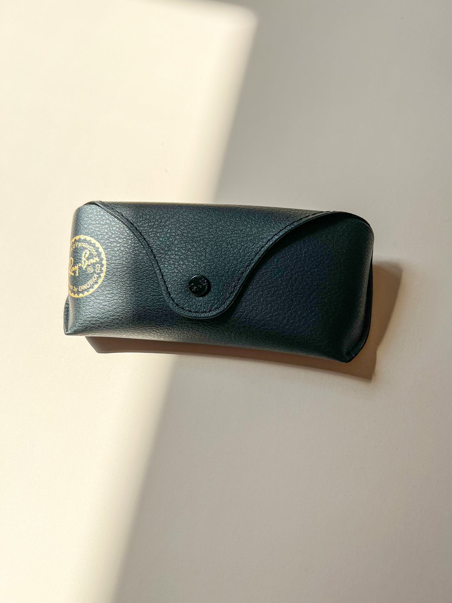 RayBan Etui schwarz klein
