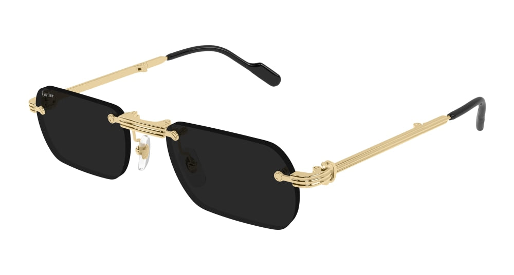 CARTIER 0499S 001