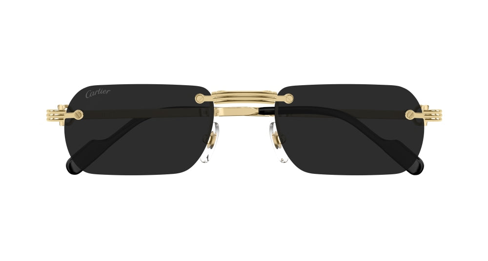 CARTIER 0499S 001