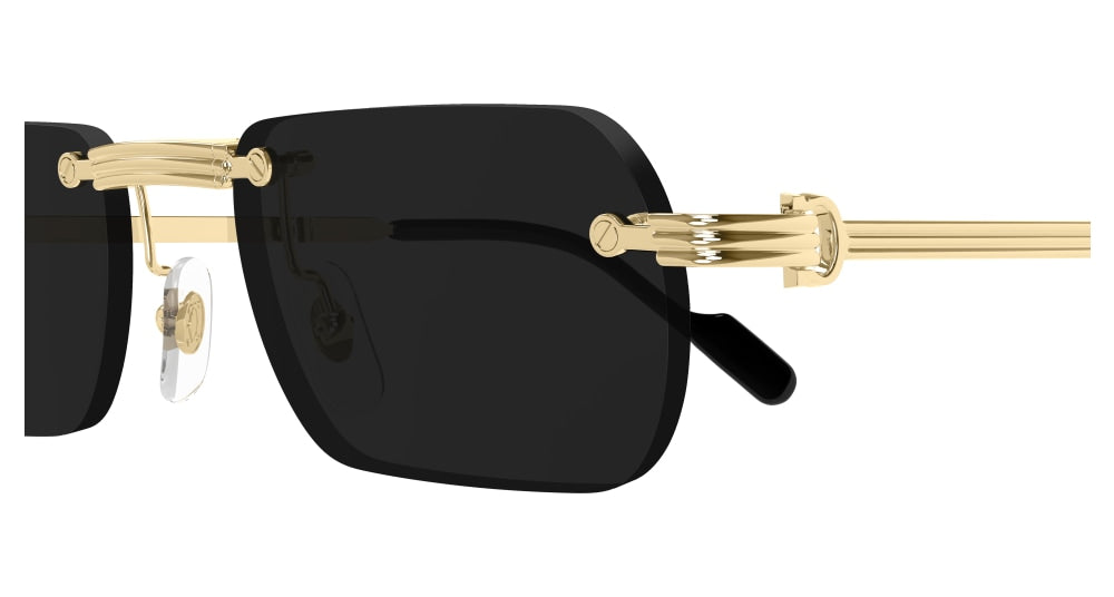 CARTIER 0499S 001